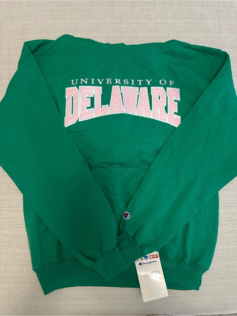 Champion University of Delaware Crewneck Sweatshirt